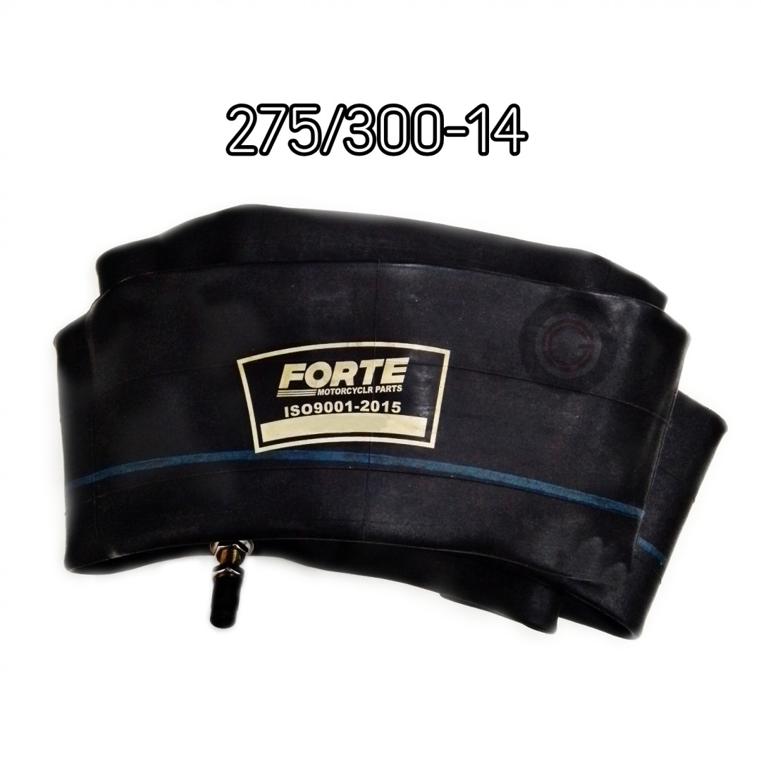 forte-275300-14-lo1005794